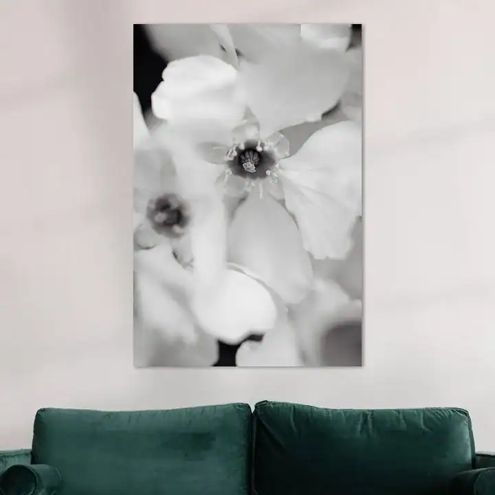 Fine art print