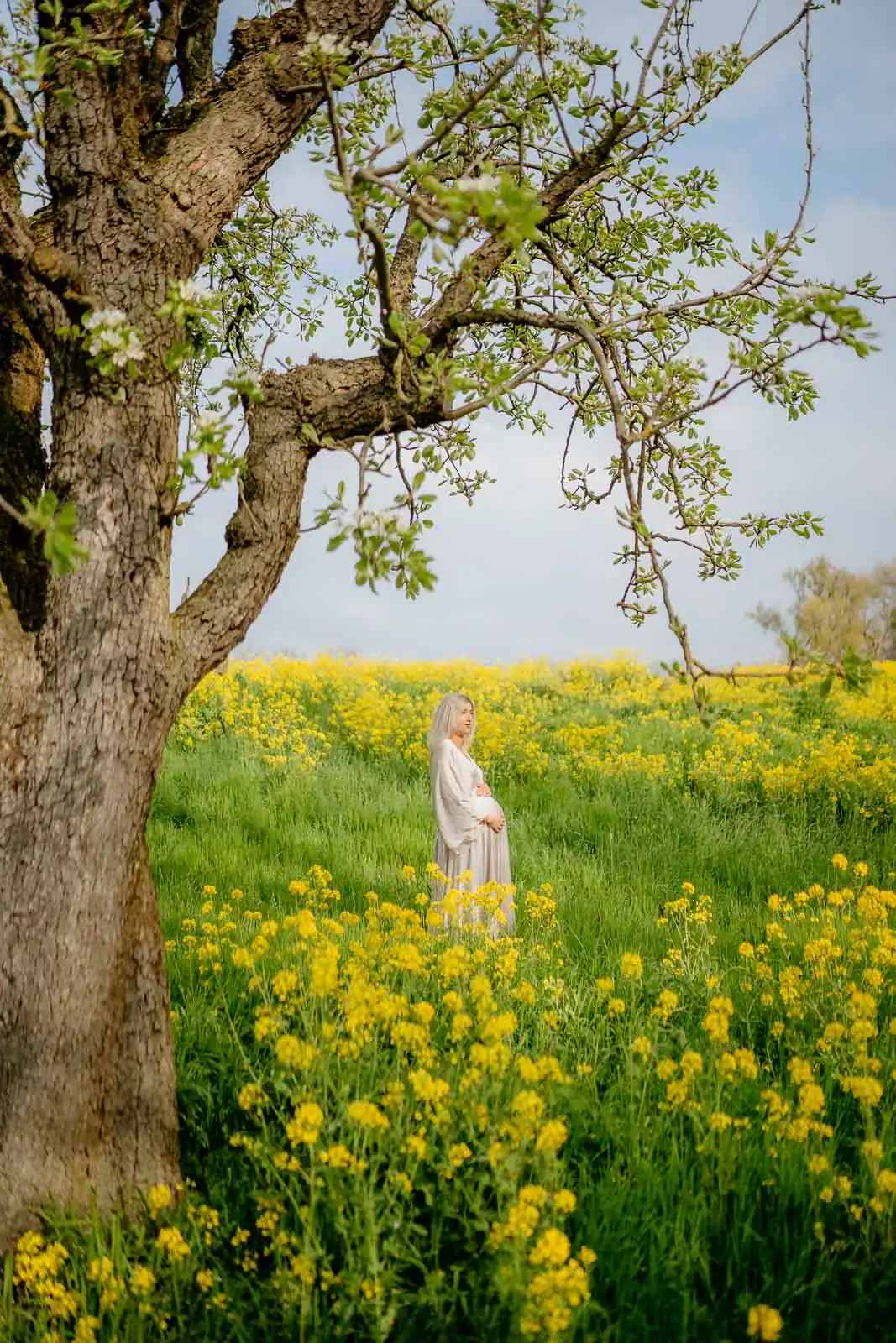 Maternity photoshoot