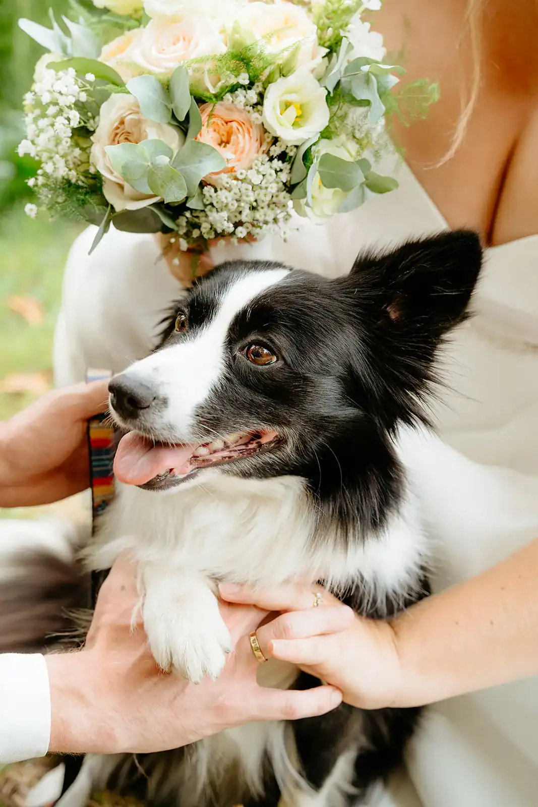 Wedding photographer Utrecht